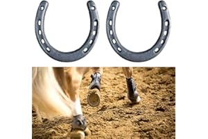 WINPLAN 【Complimentary Horseshoe Brush】 Horseshoe Ring Horseshoe Protection Safety Horse Accessories Stable Supplies cast Iron Casting Durability