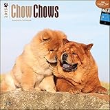 Chow Chows 2015 Wall Calendar