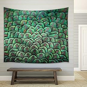 Peacock Feathers Which Form a Beautiful and Colorful Pattern - Fabric Wall Tapestry Home Decor - 51x60 inches