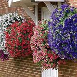 DIVCHI 12 Inch Indoor Outdoor Hanging Basket Set of 4 view 7