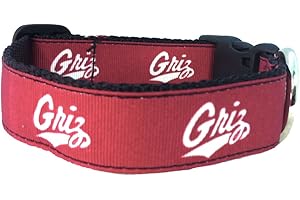 ALL STAR DOGS NCAA Montana Grizzlies Dog Collar (Team Color, Large)