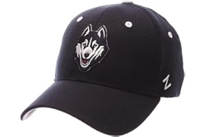 NCAA Zephyr Men's ZH Stretch Fit Hat