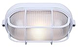 Canarm IOL16WH Marine 1 Light, White Finish Outdoor
