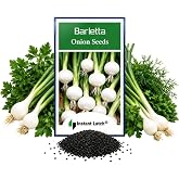 Instant Latch 250 Barletta Onion Seeds | Non-GMO | Heirloom | Fresh Garden Seeds