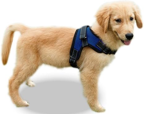 Copatchy No Pull Reflective Adjustable Dog Harness With Handle