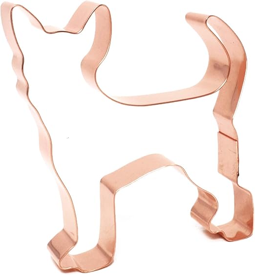 show me a blue heeler dog