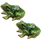JBINNGROUSE 2 Pcs Resin Frogs Ornament Fairy Wild Garden Supplies Handmade Decor Perfect for Yard Art Outdoor Patio Decor Lawn Ornaments and Statues Decorations