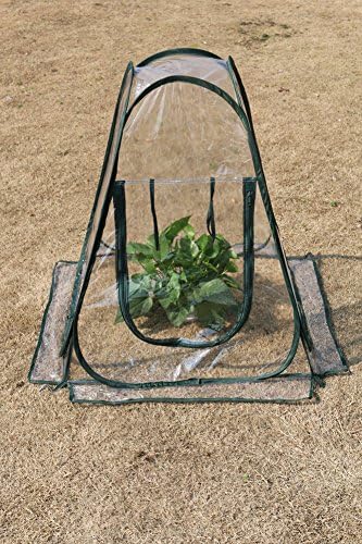 VVA Folded PVC Film Greenhouse for Pot Plants Outdoor Windproof Rainproof