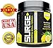 BCAA Amino Acid Powder 5000mg TOP RATED #1 Instantized BCAA Powder Leucine, Valine, Glutamine Supplement MEGA DOSE Lemon Lime - Build and Preserve Muscle + Lose Fat w/Surge BCAA 2:1:1 Powder