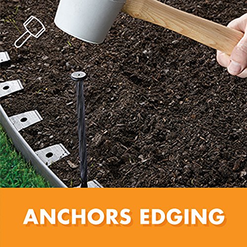 2 Dimex+751315119849+Landscape+Anchoring+1984