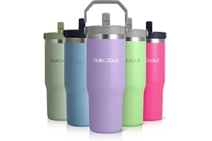 DLOCCOLD 30 oz Stainless Steel Tumbler with Flip Straw & Handle, Insulated Double Walled Water Bottle for Home, Office, Car, Leak Proof, Reusable Cup 2-in-1 Straw & Sip Lid Women Men