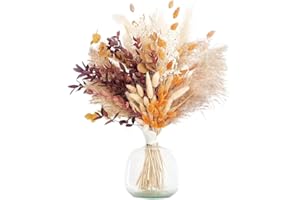 64 Pcs Natural Dried Flowers Grass Decor, Reed Vase Home Decor, Boho Decor Flower Bouquet, Suitable for Homes Dining Table We