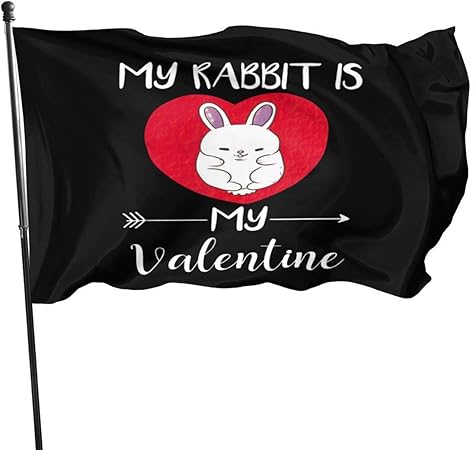 LL-Shop Mein Kaninchen ist Meine Valentinstag-Flagge 3x5 Ft