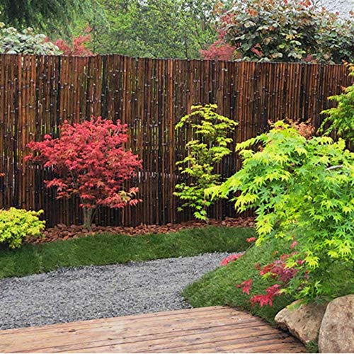 GZHENH Gartenzaun,Rollzaun Aus Holz Datenschutzbildschirm Bambuszaun Gartendekoration Pfad Rasen Kleiner Zaun… – Bild 5