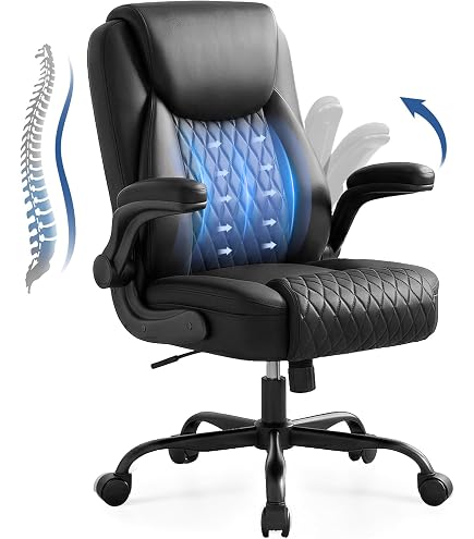 Amazon.com: Xtech AM160GEN32 Executive Desk Chair with Armrests