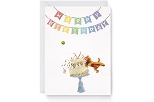 Funny Animal Birthday Cards by WishperStudio – "Happy Birth-NEIGH!", "Have A Pawsome Birthday", "Cake Crash", "Capy Birthday"