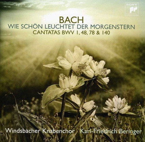 Bach J.S: Cantatas at Amazon