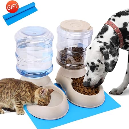 Pet Supplies : Automatic Cat Feeder and 
