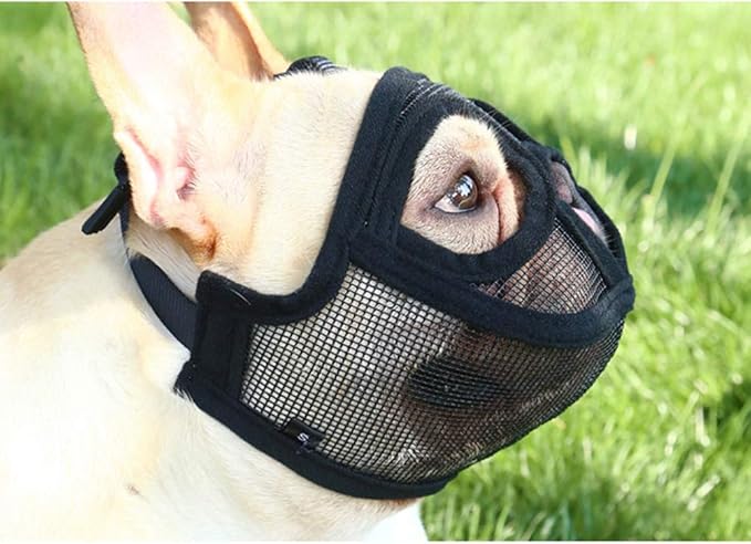 Hihey Museau Pour Chiens à Museau Aplati Réglable Et Respirant Bouledogue Anglais Bouledogue Français Pékinois Shih Tzu Carlin Convient également Aux