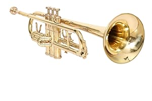 QUEEN BRASS TRUMPET Bb PITCH BRASS GOLD LOOK WITH FREE HARD CASE AND MOUTHPIECE
