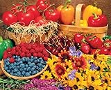 Springbok Garden Goodies 1000 Piece Jigsaw Puzzle