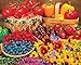 Springbok Garden Goodies 1000 Piece Jigsaw Puzzle