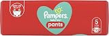 Pampers Baby-Dry Pants Nappies Size 5 37 Pack 12-17 kg Baby Care view 5