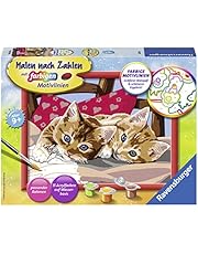 Malen nach Zahlen | Amazon.de - Spielzeug