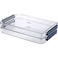 BTSKY 2 Pack Clear Plastic Stackable Storage Box File Protector Case Organizer Portable Project Case Document Holder for 8.5 x 11 Letter A4 File Paper, Plastic Storage Box Office Documents
