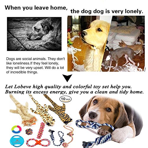 Lobeve Dog Toys Gift Set,Variety No Stuffing Squeaky Plush Dog Toy and Cotton Rope Puppy Toys Bundle for Medium to Small Doggie-New