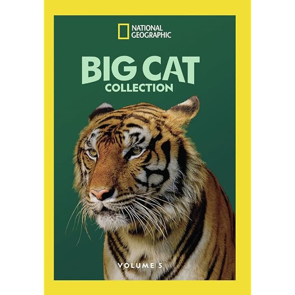 その他 Big Cats Collection [DVD] Amazon.com: Big Cats Collection by NAT'L GEOGRAPHIC VID by