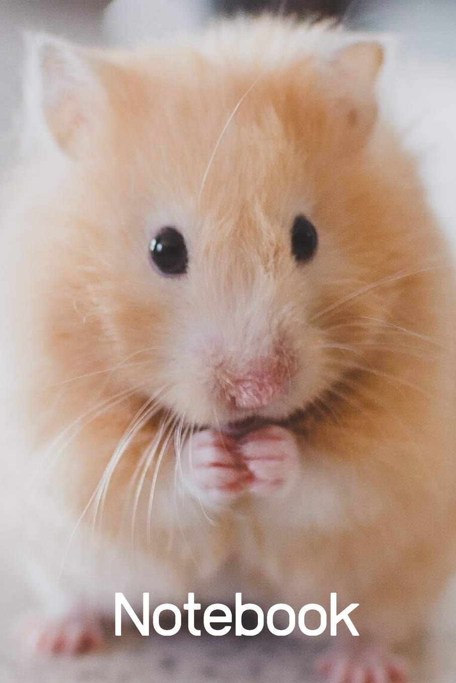 i love hamster