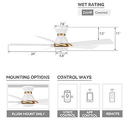 SMAAIR 48 Inch Ceiling Fan with Light and