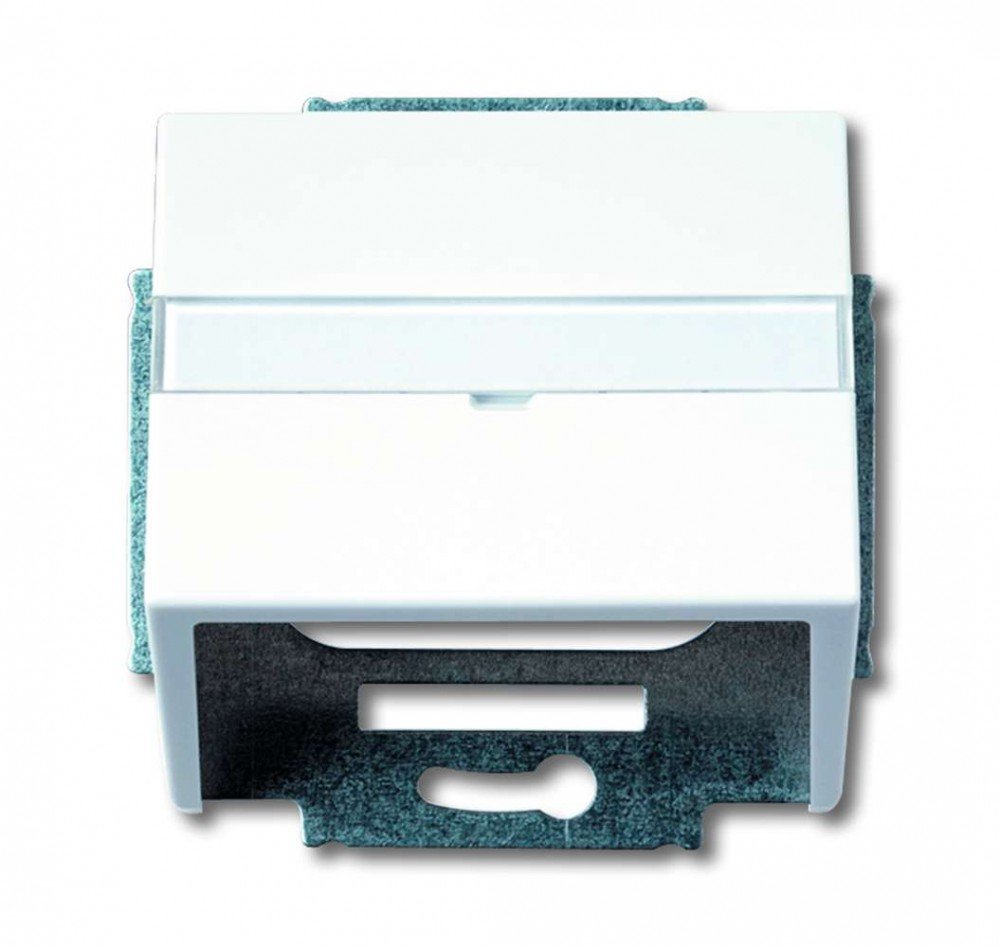 Busch-Jaeger 1758 Central Light Switch Cover Plate Wall Plate for Switch