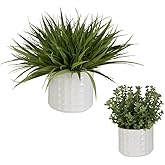 Uttermost Edgewood - Planter (Set of 2)-14 Inches Tall and 18 Inches Wide