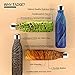 Tadge Goods Insulated Stainless Steel Water Bottle - Endangered Species Edition - Metal Thermo Style Bottles Great For Sports, Gym, Kids - Keeps Drinks Hot & Cold - 17 Oz Large