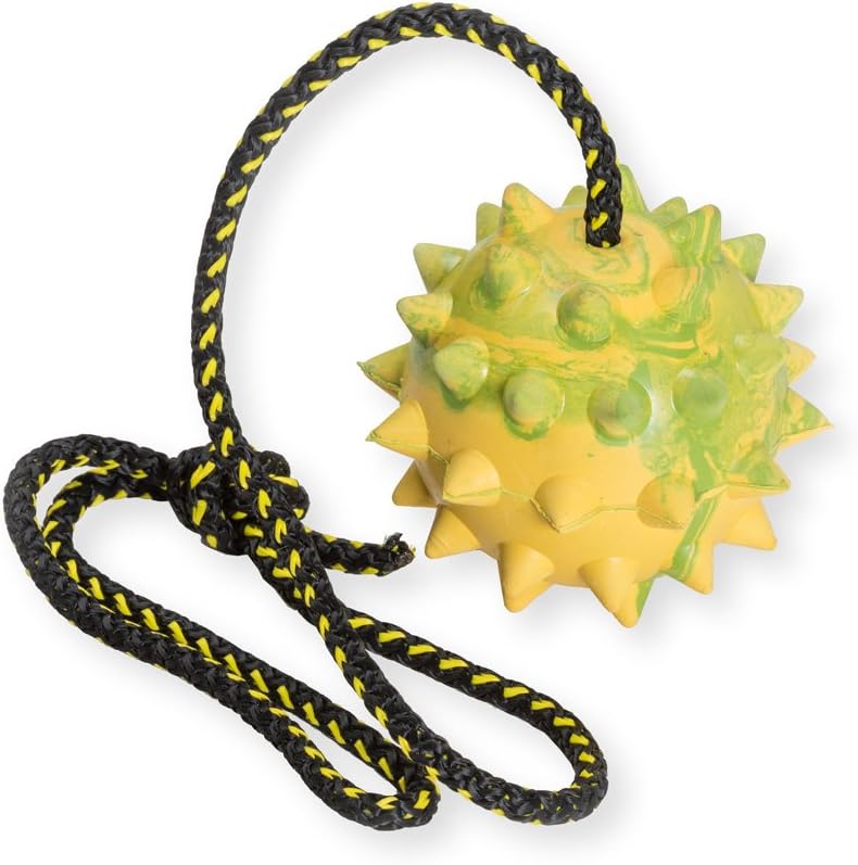 K9 Warrior Dog Rubber Spike Ball on Rope - Toy, Training, Reward, Fetch
