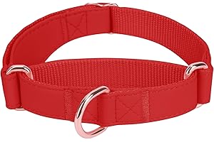 AAUFILUX Soft Leather Martingale Dog Collar - Adjustable Rose Gold Limited Slip Collars [Easy to Clean], Stylish Durable Heavy Duty Nylon No Pull Training Collar for Small Medium Large Dogs M Red