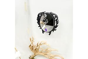 Daerky Jumping Spider Mirror, Small Animal Self-Observation Mirror, Jumping Spider Climbing Fence Accessories, Jumping Spider Training Decoration, Small Animal Habitat Decoration (Black, Oval)