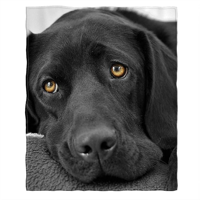 Moslion Soft Cozy Throw Blanket Black Lab Labrador Fuzzy