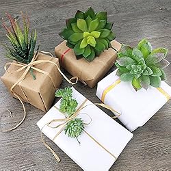 Supla 5 Pcs Assorted Artificial Succulents Plants