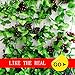 Meiliy 8 Ft Artificial Greenery Chain Grape Ivy Leaves + Artificial Grapes Vine Foliage Simulation Flowers Plants for Home Room Garden Wedding Garland Outside Decoration