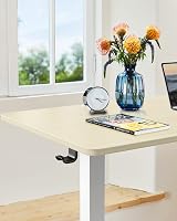 ErGear Electric Standing Desk 120x60cm, Height Adjustable with Memory Panel view 7