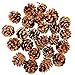 Pine Cones, JUSTDOLIFE 100PCS Christmas Pinecone Ornaments Xmas Tree Ornaments Natural Wood Christmas Tree Decoration Crafts Home Ornament for Home Party Holiday Decor(7 Ounce)