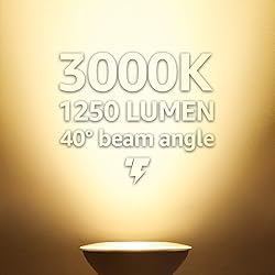 TORCHSTAR PAR38 LED Flood Light Outdoor