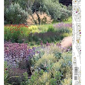 Planting: A New Perspective