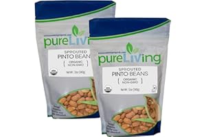 PureLiving SPROUTED Organic Pinto Beans - 12 Ounce Bag (Pack of 2)