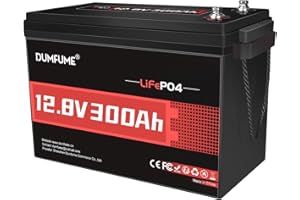 12V 300Ah Lithium LiFePO4 Battery,200A BMS Max.3840W Load Power,Rechargeable Lithium Iron Phosphate Battery for Solar Energy 