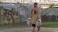 Amazon Com Last Holiday Widescreen Edition Queen Latifah Ll Cool J Timothy Hutton Giancarlo Esposito Alicia Witt Gerard Depardieu Jane Adams Michael Estime Susan Kellermann Jascha Washington Matt Ross Ranjit Chowdhry Wayne