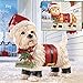 Collections Etc Motion Sensor Pet Christmas Yard Decoration, Dog